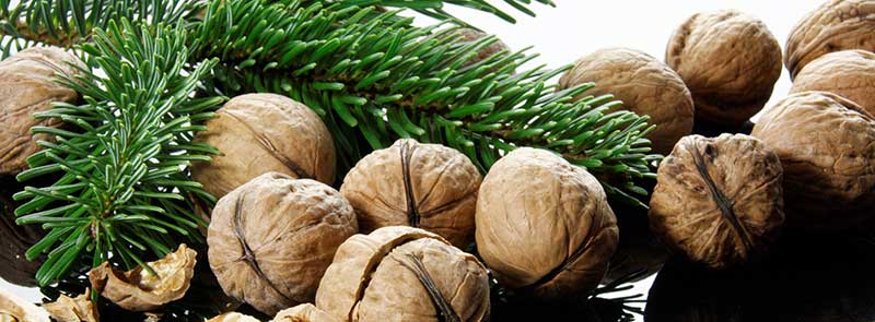 margin: 0px 20px 10px 0px weihnachten