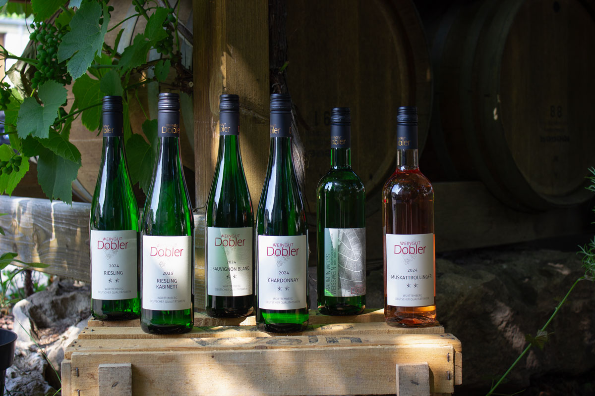 Weinflaschen des Probepakets Spritzig auf einer Weinkiste, im Hintergrund sind Weinranken und ein Barrique-Fass zu sehen