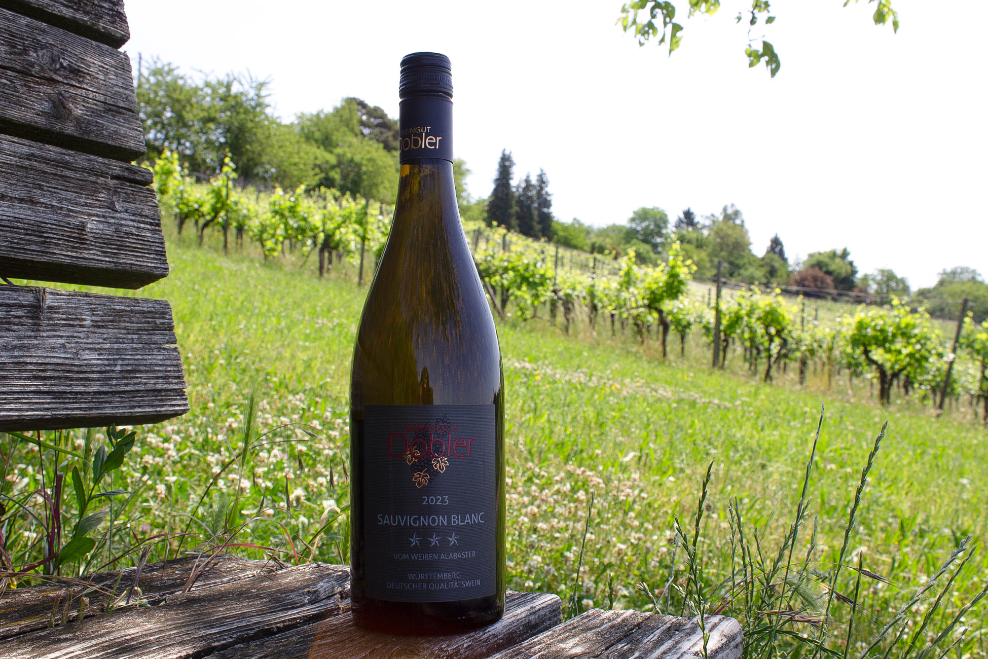 2023 Sauvignon Blanc 3 Sterne vom weißen Alabaster